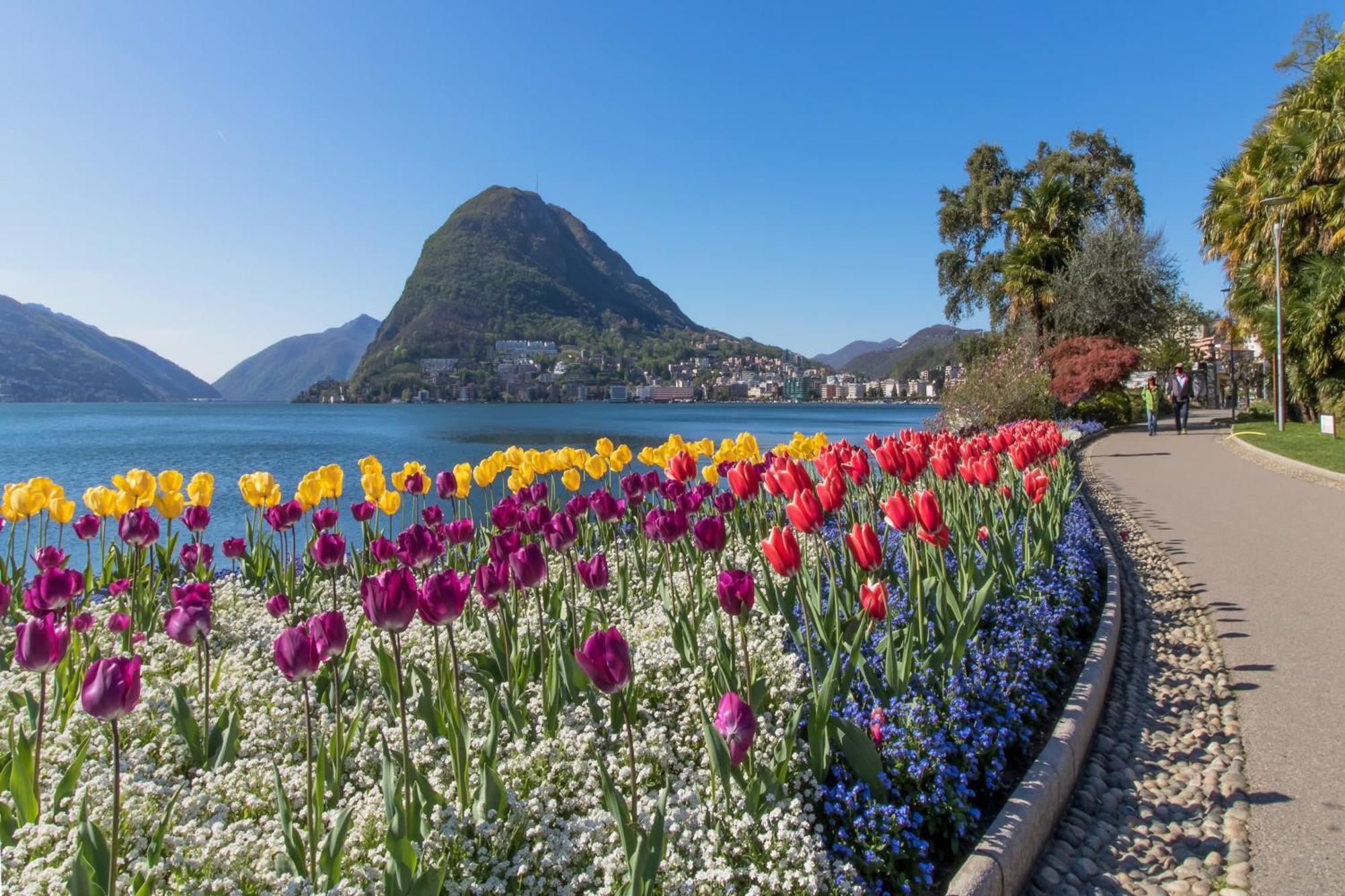 Love Of Lugano - Happy Rentals Luaran gambar
